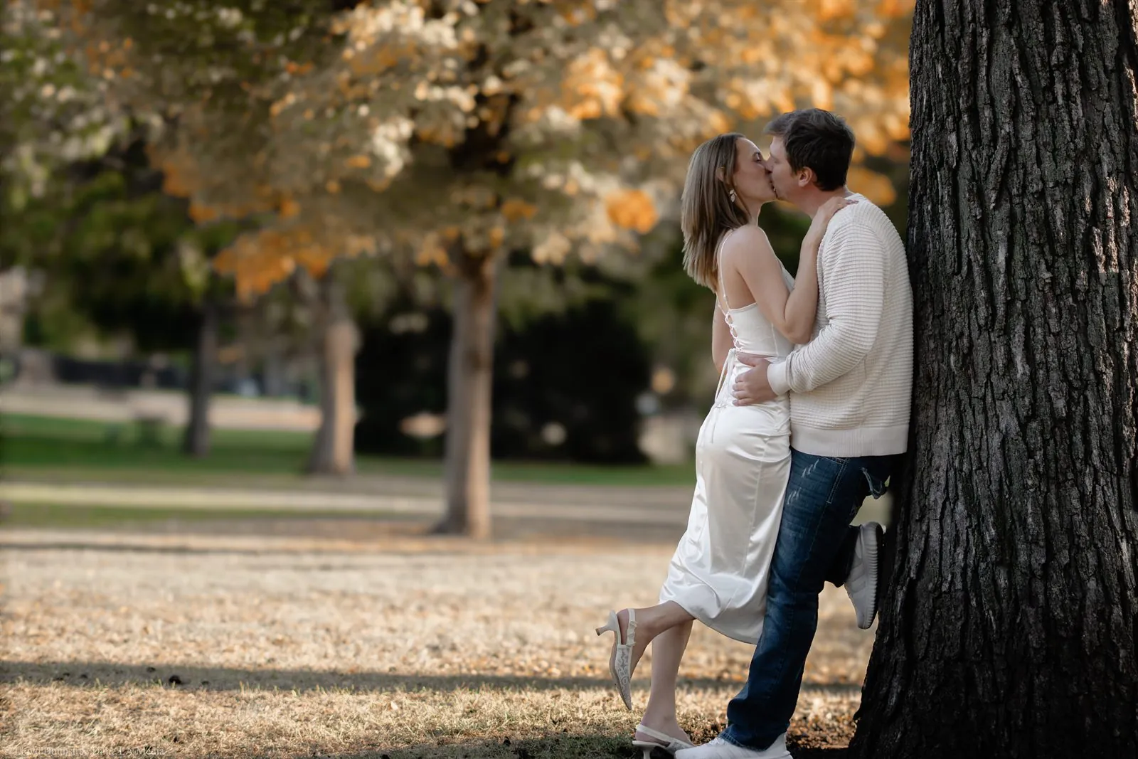 Couple kissing under a golden autumn tree in a Sioux Falls park