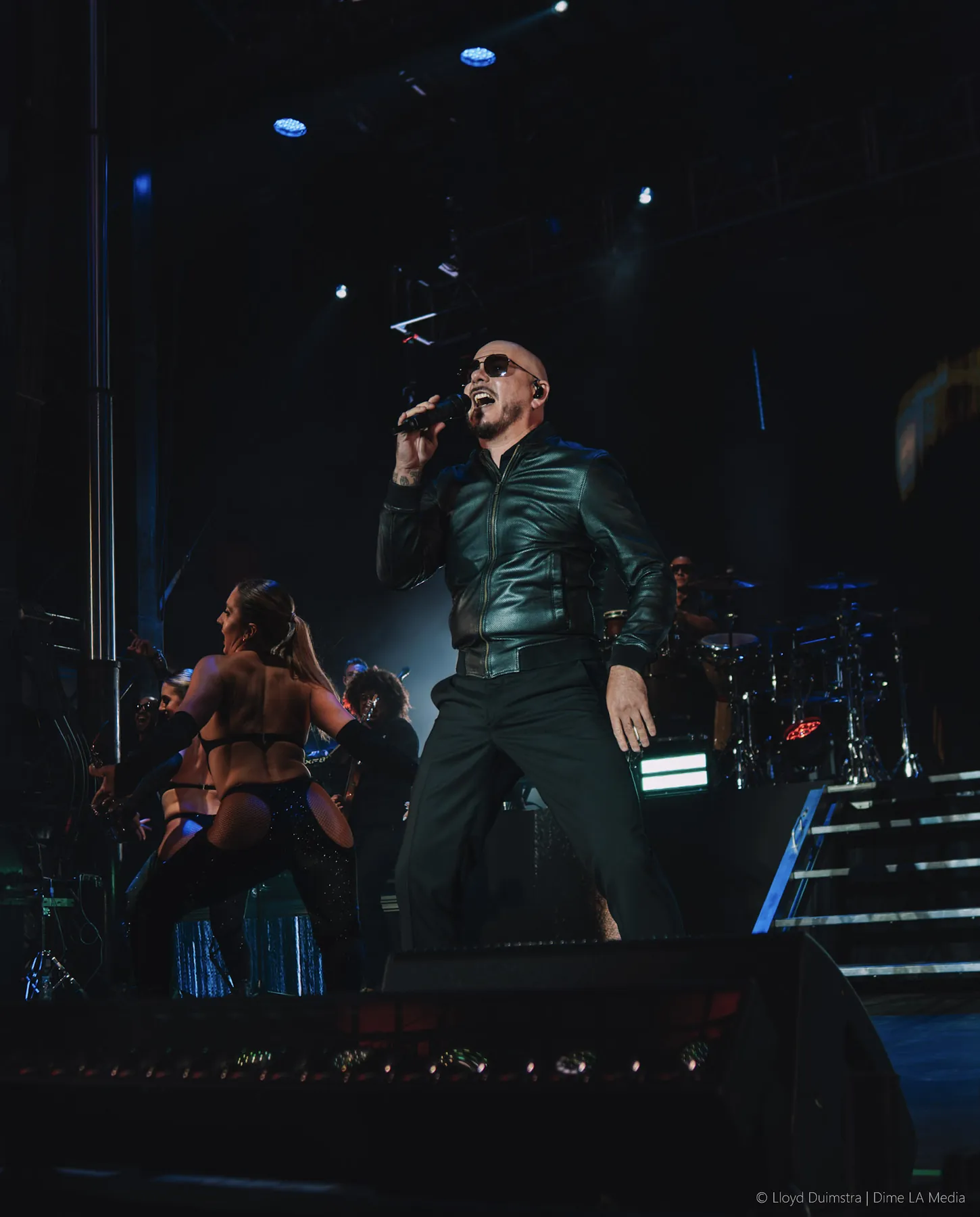 Pitbull Lallycooler 2025