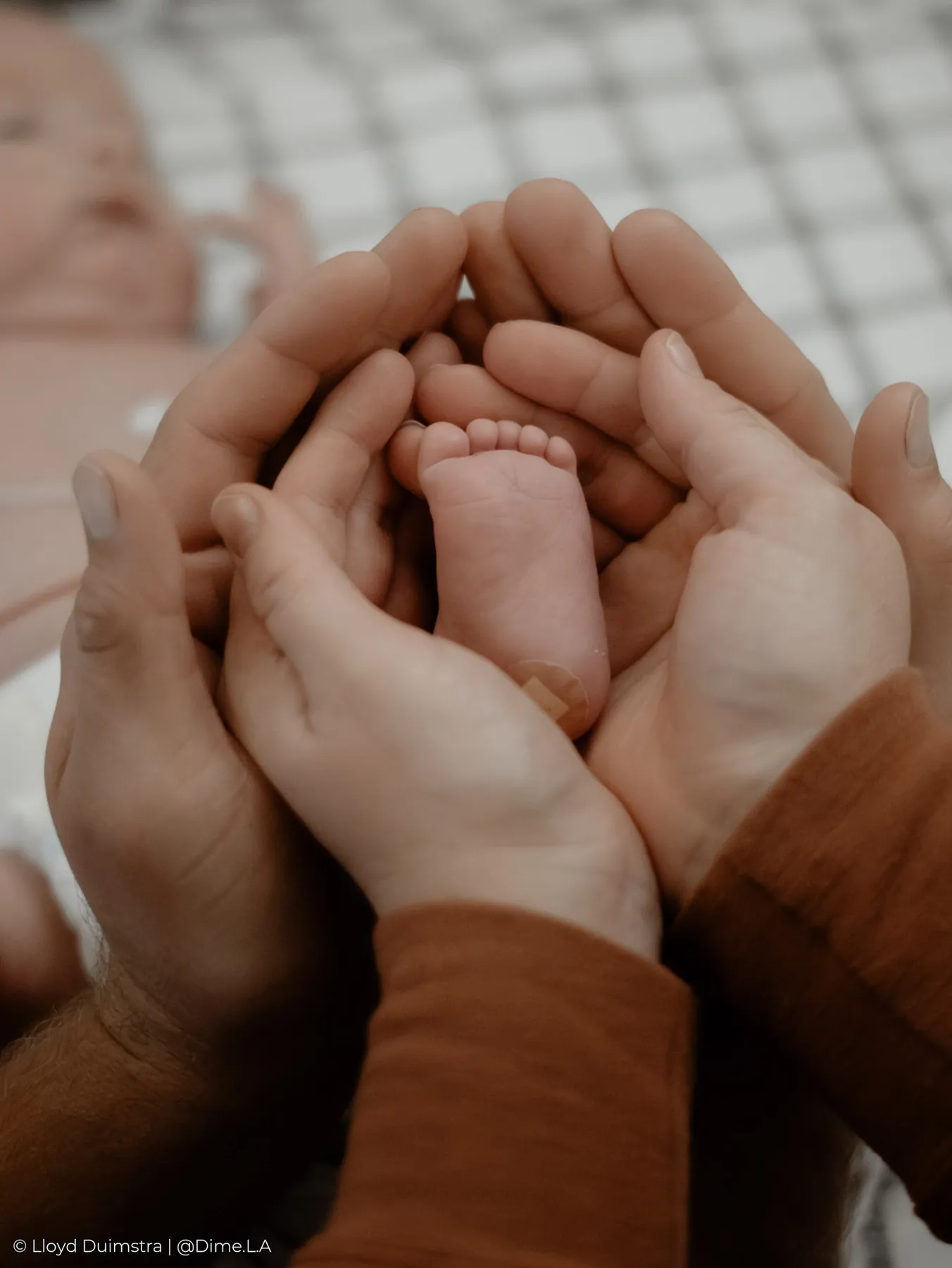 Newborn foot cupped in parents’ hands, detail photograph